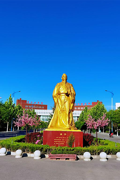 岁月流金 · 青春不散场
