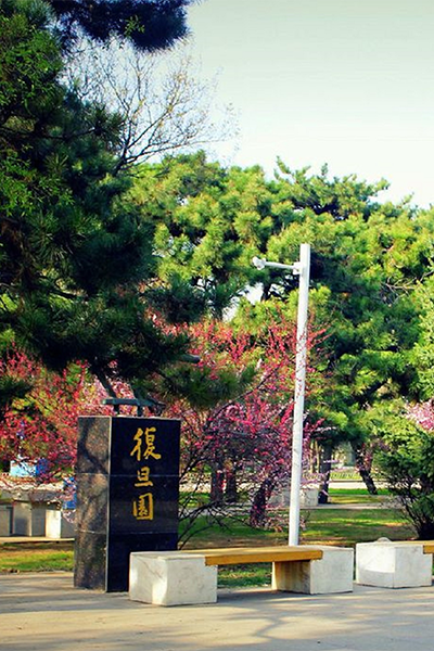 岁月流金 · 青春不散场