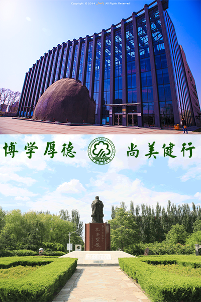 岁月流金 · 青春不散场