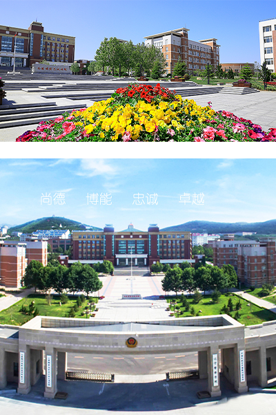 岁月流金 · 青春不散场