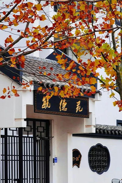 岁月流金 · 青春不散场