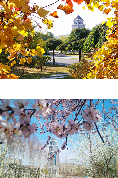 岁月流金 · 青春不散场