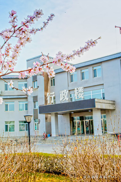 岁月流金 · 青春不散场
