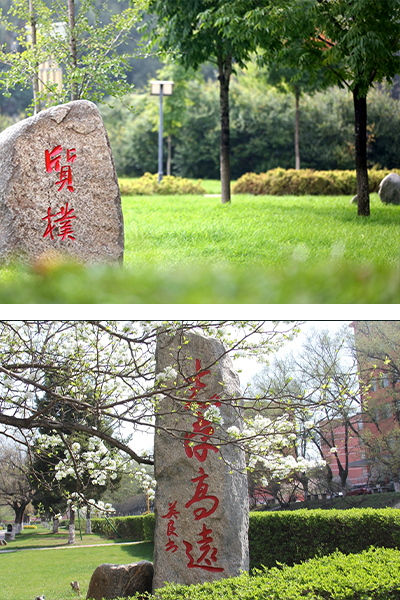 岁月流金 · 青春不散场