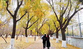 「 大學志 · 志中國 」