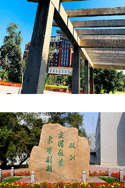 岁月流金 · 青春不散场