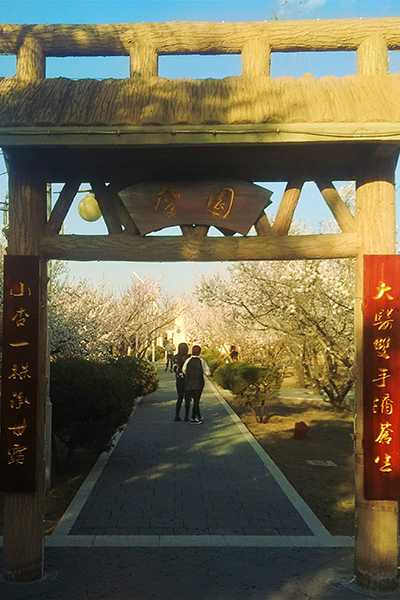 岁月流金 · 青春不散场