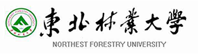 东北林业大学-中国最美大學
