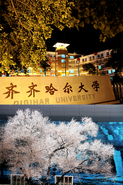 岁月流金 · 青春不散场