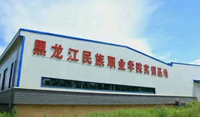 「 大學志 · 志中國 」