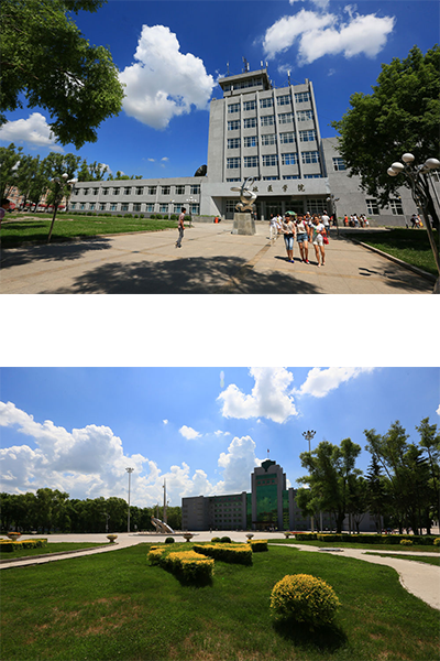 岁月流金 · 青春不散场