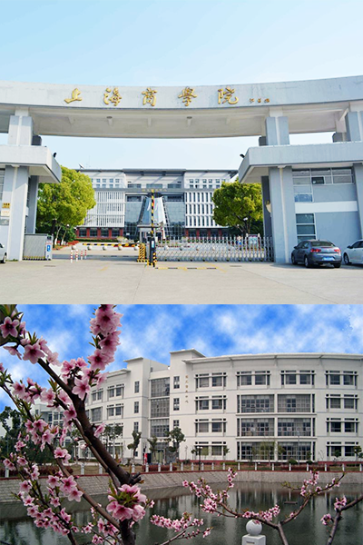 岁月流金 · 青春不散场