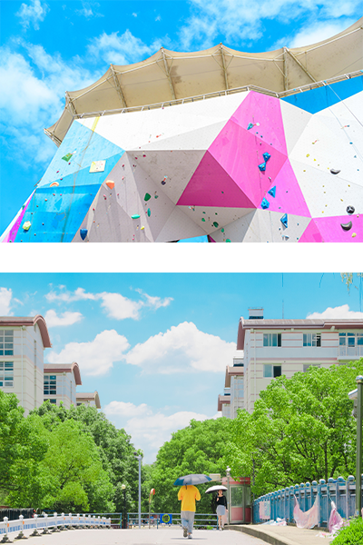 岁月流金 · 青春不散场