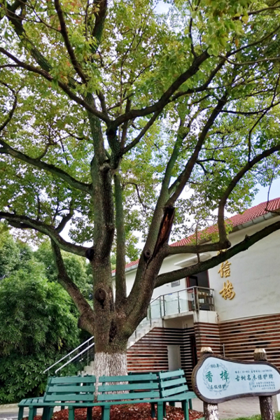 岁月流金 · 青春不散场
