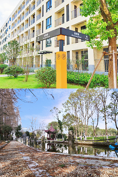 岁月流金 · 青春不散场